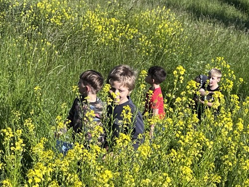 IMG_8140